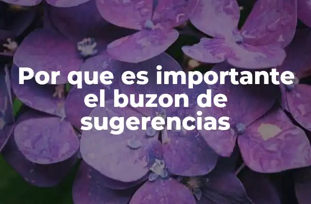 Por que es Importante el Buzon de Sugerencias