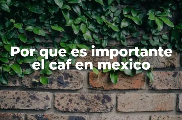 Por que es Importante el Caf en Mexico