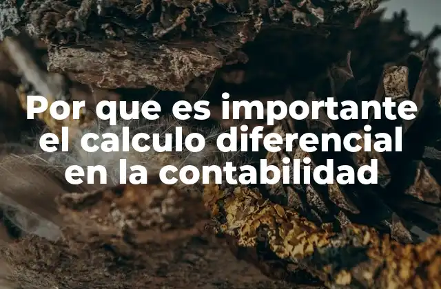 Por que es Importante el Calculo Diferencial en la Contabilidad