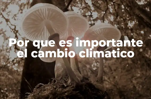 Impacto del cambio climático en la vida cotidiana