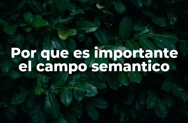 Por que es Importante el Campo Semantico