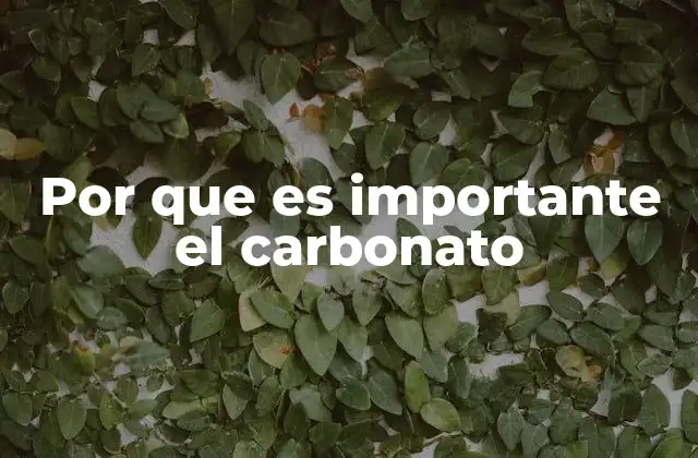 Por que es Importante el Carbonato
