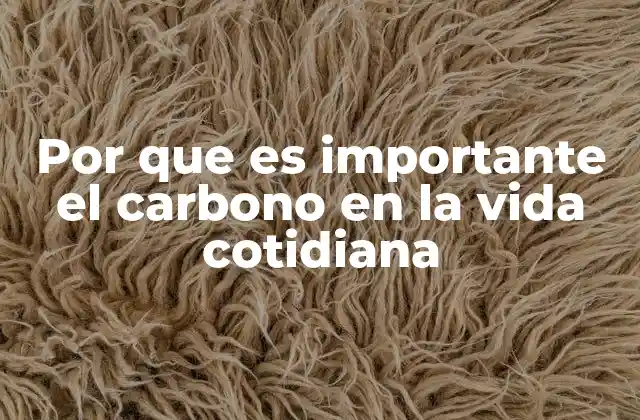 Por que es Importante el Carbono en la Vida Cotidiana
