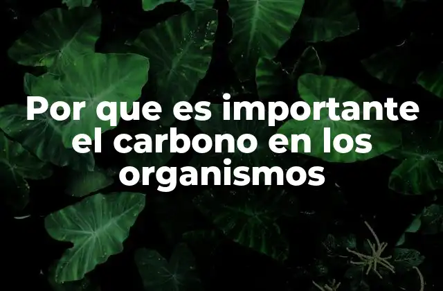 Por que es Importante el Carbono en los Organismos