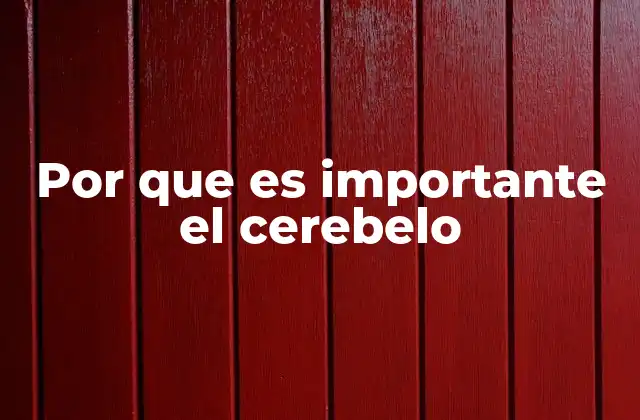 Por que es Importante el Cerebelo