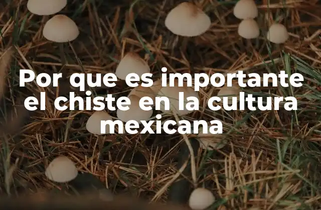Por que es Importante el Chiste en la Cultura Mexicana