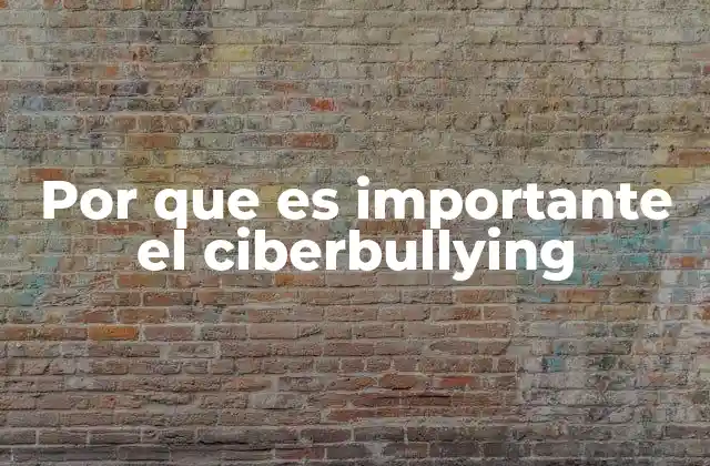 Por que es Importante el Ciberbullying