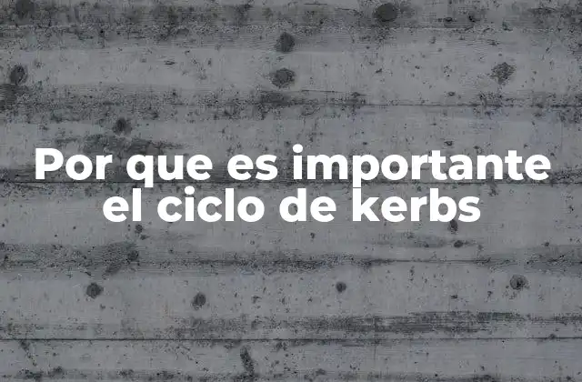 Por que es Importante el Ciclo de Kerbs 2 El ciclo de Krebs y la energía celular