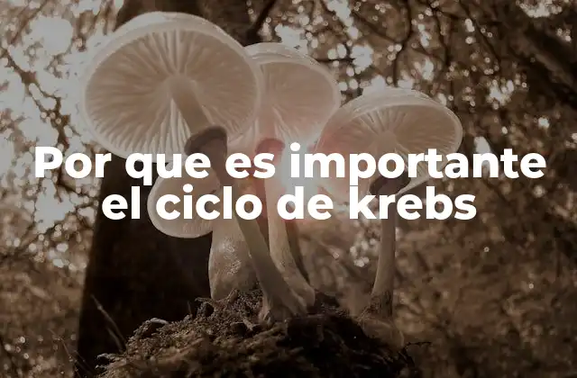 Por que es Importante el Ciclo de Krebs