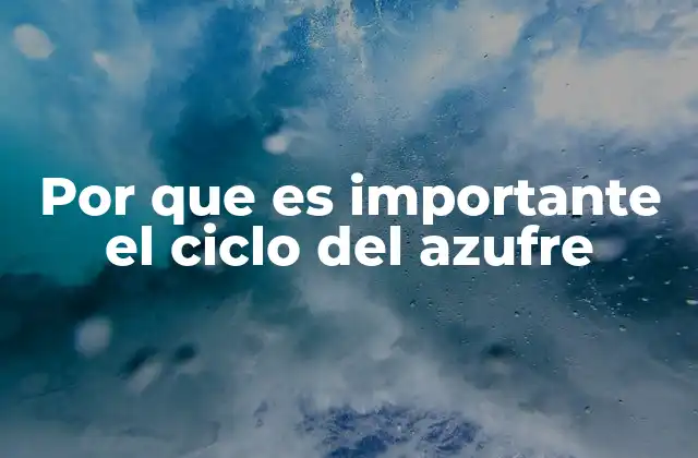 Por que es Importante el Ciclo Del Azufre