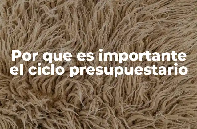 Por que es Importante el Ciclo Presupuestario
