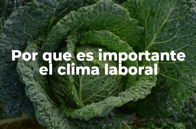 Por que es Importante el Clima Laboral