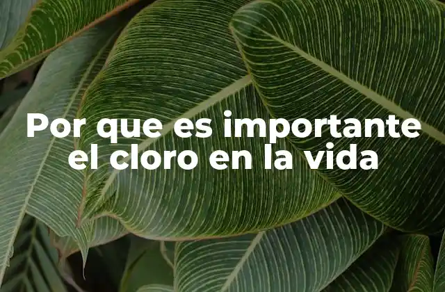 El impacto del cloro en la salud pública