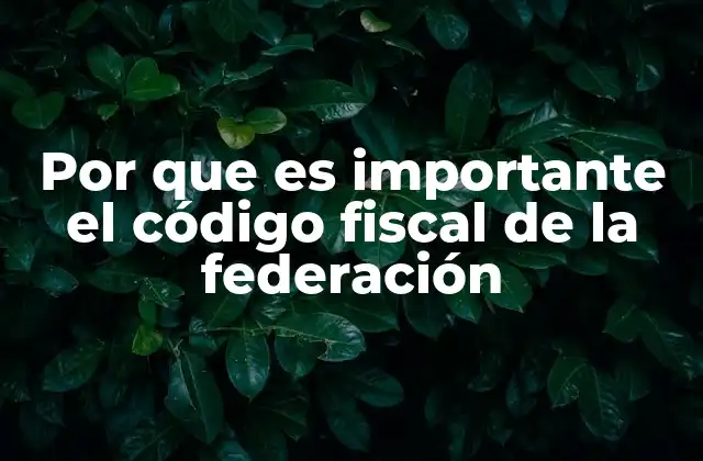 Por que es Importante el Código Fiscal de la Federación
