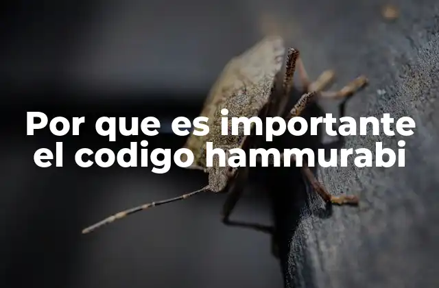 Por que es Importante el Codigo Hammurabi 2 El legado del derecho en la antigua Mesopotamia