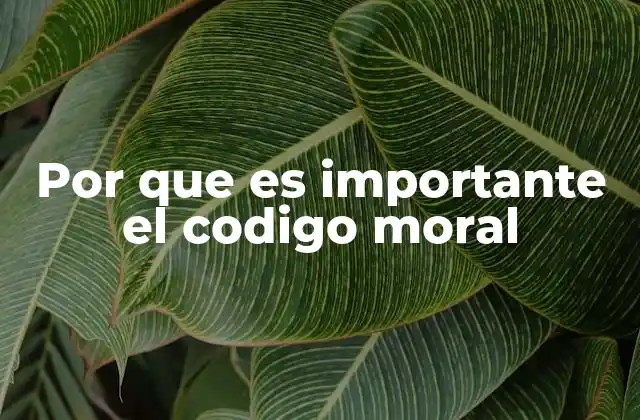 Por que es Importante el Codigo Moral