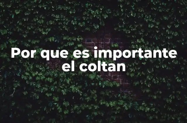 Por que es Importante el Coltan 2 El impacto global del coltán en la tecnología