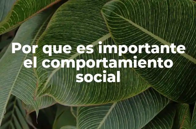 Por que es Importante el Comportamiento Social