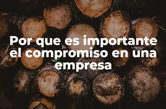 Por que es Importante el Compromiso en una Empresa