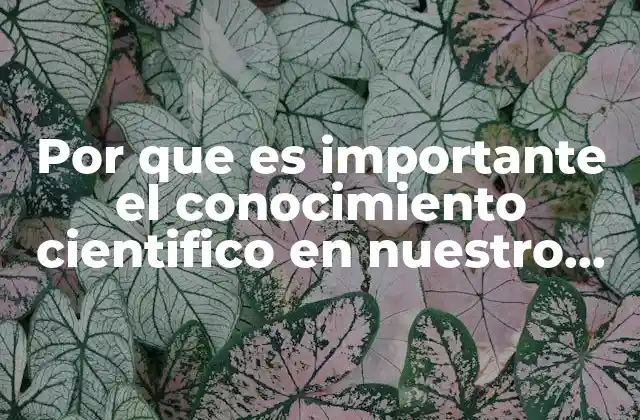 Por que es Importante el Conocimiento Cientifico en Nuestro Entorno