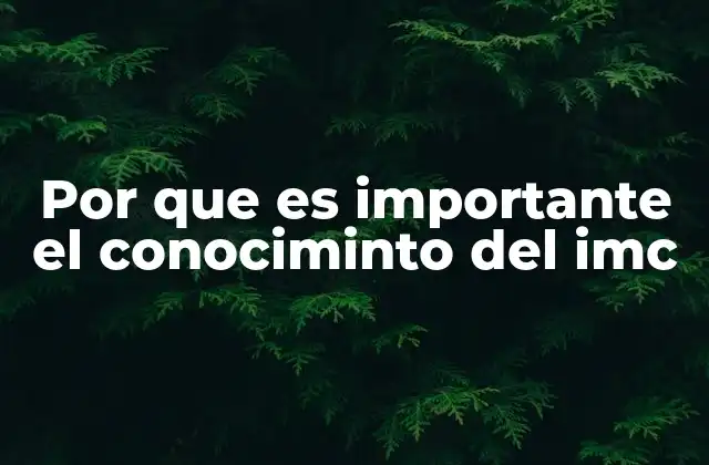 Por que es Importante el Conociminto Del Imc