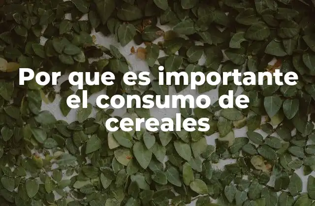 Por que es Importante el Consumo de Cereales