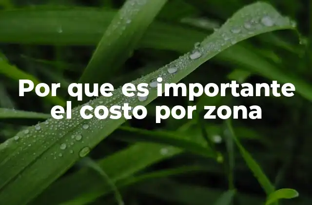 Por que es Importante el Costo por Zona 2 Cómo el costo geográfico influye en la toma de decisiones empresariales