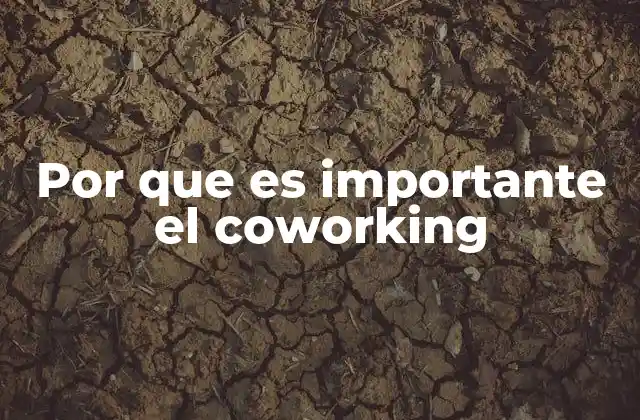 Por que es Importante el Coworking