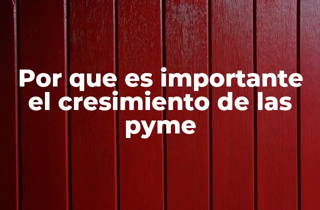 El impacto de las PYMEs en el desarrollo económico sostenible