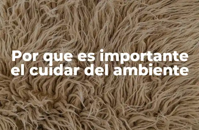 Por que es Importante el Cuidar Del Ambiente