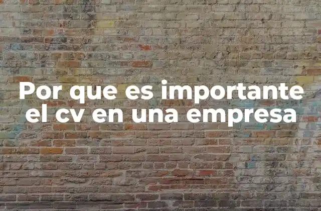 Por que es Importante el Cv en una Empresa