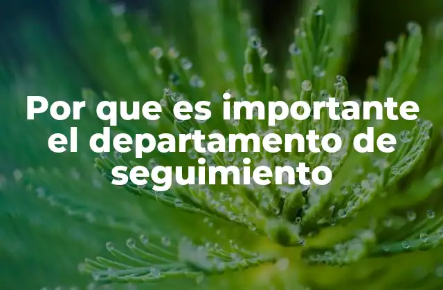 Por que es Importante el Departamento de Seguimiento