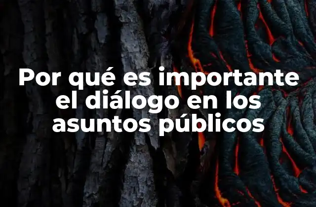 Por Qué es Importante el Diálogo en los Asuntos Públicos