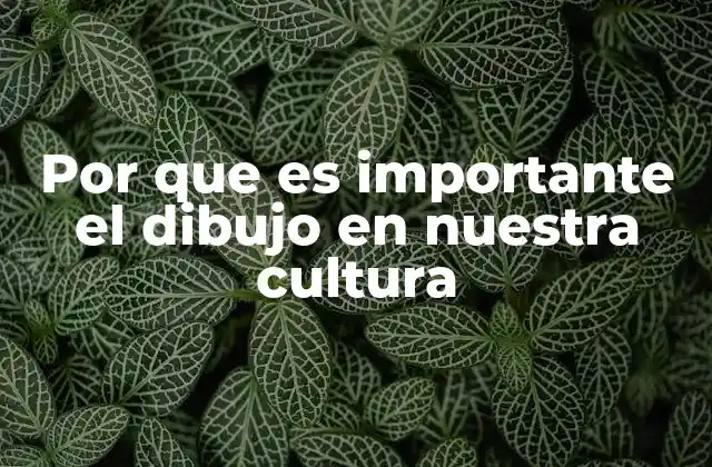 Por que es Importante el Dibujo en Nuestra Cultura