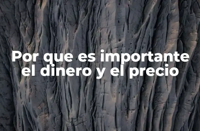Por que es Importante el Dinero y el Precio