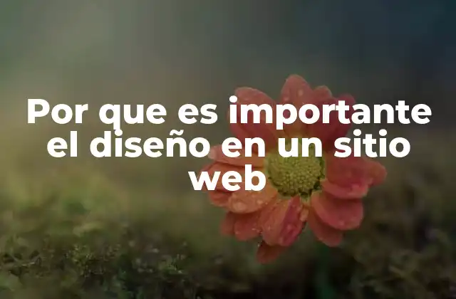 Por que es Importante el Diseño en un Sitio Web