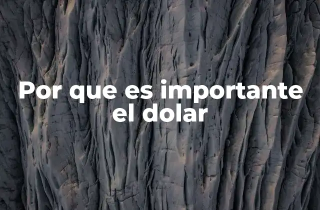 Por que es Importante el Dolar