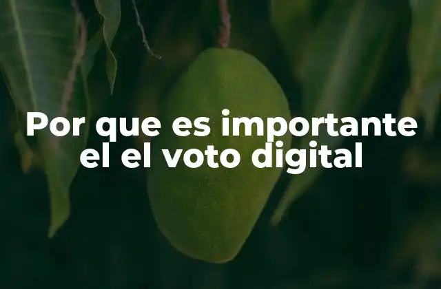 La democratización del derecho al sufragio en el siglo XXI