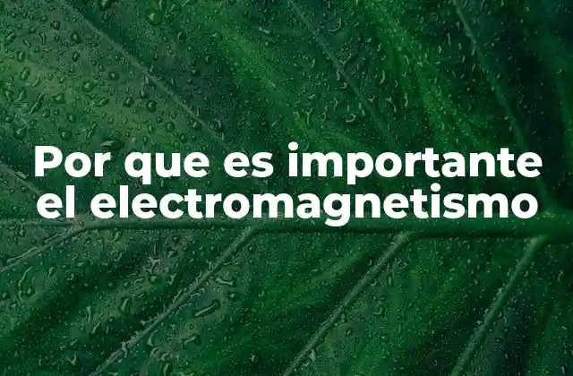 Por que es Importante el Electromagnetismo