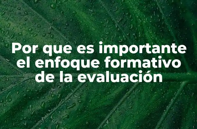 Por que es Importante el Enfoque Formativo de la Evaluación