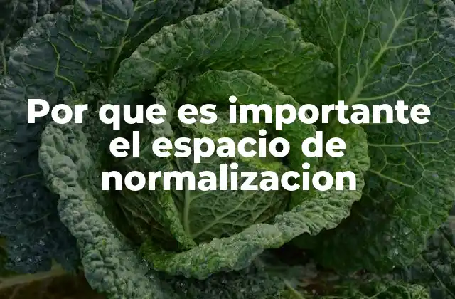 Por que es Importante el Espacio de Normalizacion