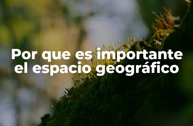 Por que es Importante el Espacio Geográfico 2 El papel del entorno físico en la organización social