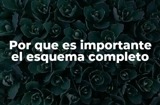 El esquema completo como herramienta de planificación eficaz