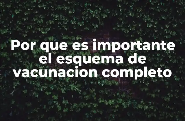 Por que es Importante el Esquema de Vacunacion Completo