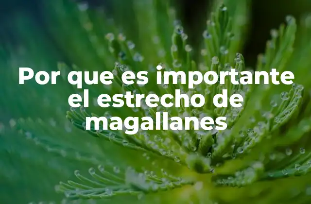 Por que es Importante el Estrecho de Magallanes 2 La relevancia geográfica y estratégica del estrecho