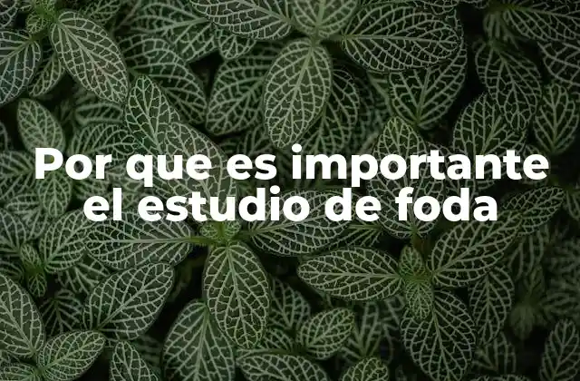 Por que es Importante el Estudio de Foda