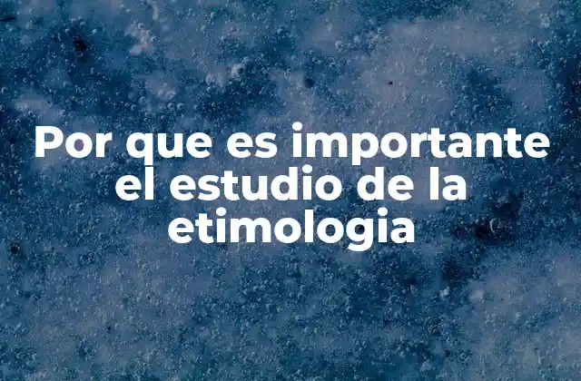 Por que es Importante el Estudio de la Etimologia