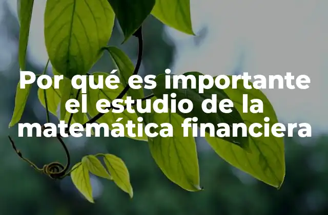 Por Qué es Importante el Estudio de la Matemática Financiera