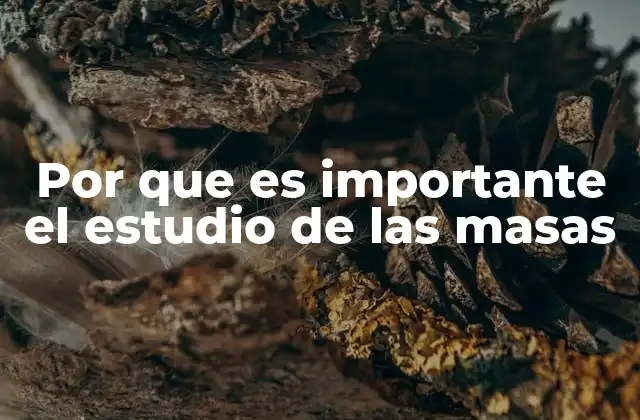Por que es Importante el Estudio de las Masas