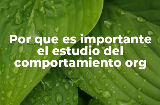Por que es Importante el Estudio Del Comportamiento Org
